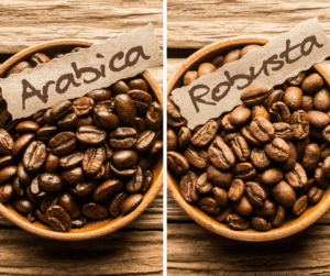 Arabica and Robusta